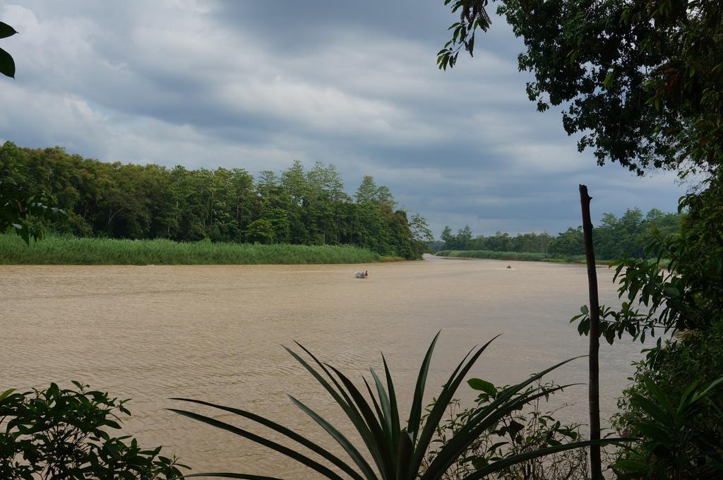 Borneo Natural Sukau Bilit Resort Экстерьер фото
